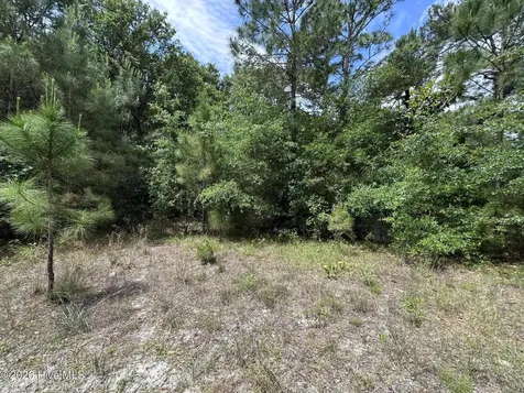 4781 Longview Drive SE Southport NC 28461