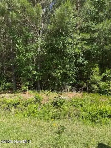 0 Beattys Bridge Road Atkinson NC 28421