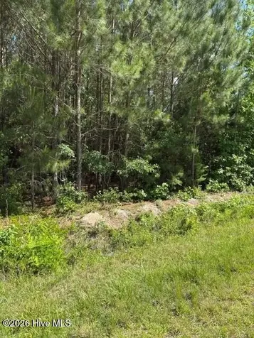 0 Beattys Bridge Road Atkinson NC 28421