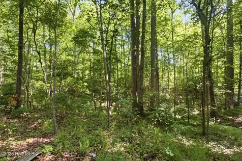 222 Fisher Turnpike Road Arapahoe NC 28510