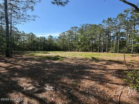 499 Tar Creek Road Oriental NC 28571