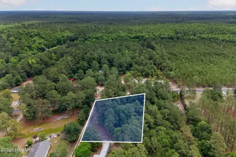 0000 Point Caswell Road Atkinson NC 28421