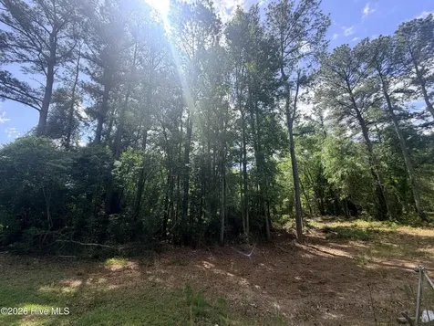 0000 Point Caswell Road Atkinson NC 28421