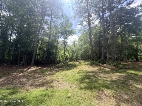 0000 Point Caswell Road Atkinson NC 28421