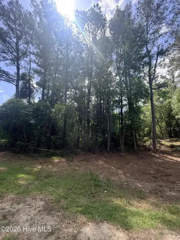 0000 Point Caswell Road Atkinson NC 28421