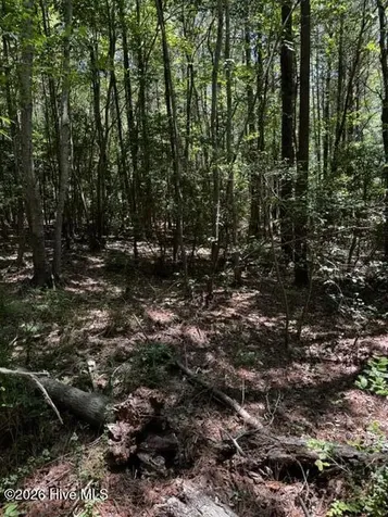 Lot 1 Dan Road Robbins NC 27325