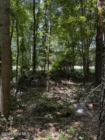Lot 1 Dan Road Robbins NC 27325