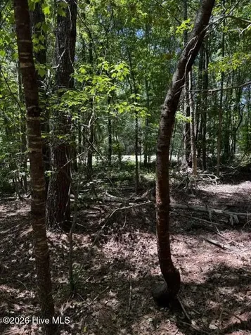 Lot 1 Dan Road Robbins NC 27325