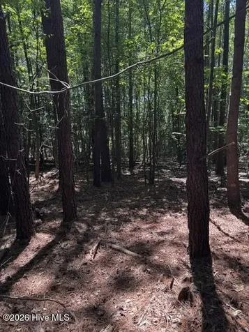 Lot 1 Dan Road Robbins NC 27325