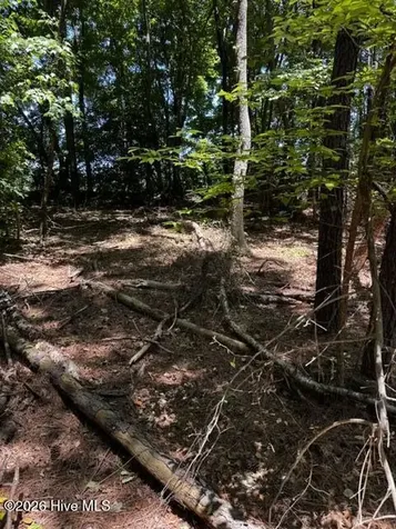 Lot 1 Dan Road Robbins NC 27325