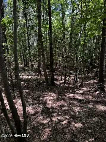 Lot 1 Dan Road Robbins NC 27325