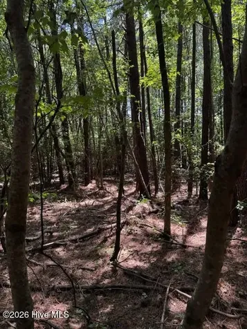 Lot 1 Dan Road Robbins NC 27325