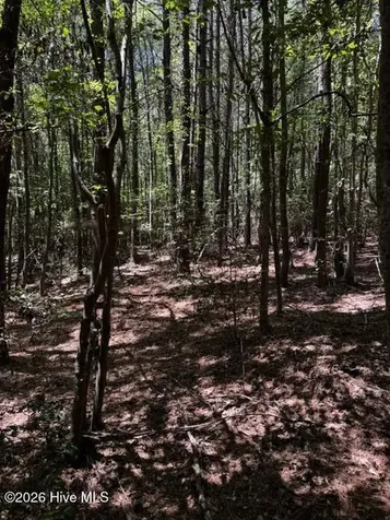 Lot 1 Dan Road Robbins NC 27325