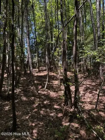 Lot 1 Dan Road Robbins NC 27325
