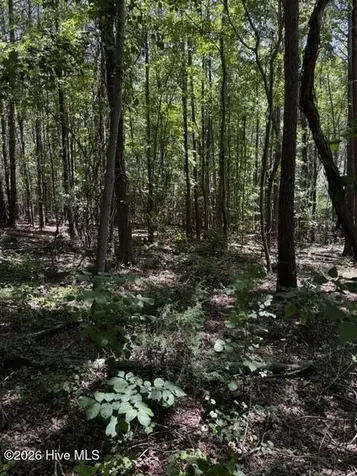 Lot 1 Dan Road Robbins NC 27325