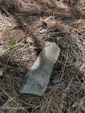 Lot 1 Dan Road Robbins NC 27325