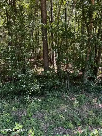 Lot 1 Dan Road Robbins NC 27325
