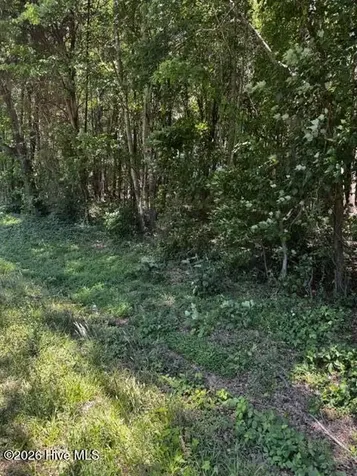 Lot 1 Dan Road Robbins NC 27325