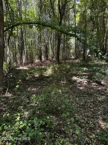 Lot 1 Dan Road Robbins NC 27325