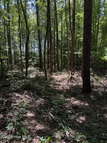 Lot 1 Dan Road Robbins NC 27325