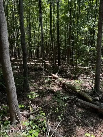 Lot 1 Dan Road Robbins NC 27325