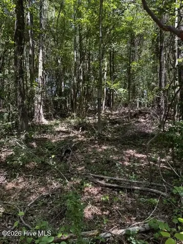 Lot 1 Dan Road Robbins NC 27325