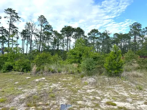 1732 E Coronado Avenue SE Bolivia NC 28422