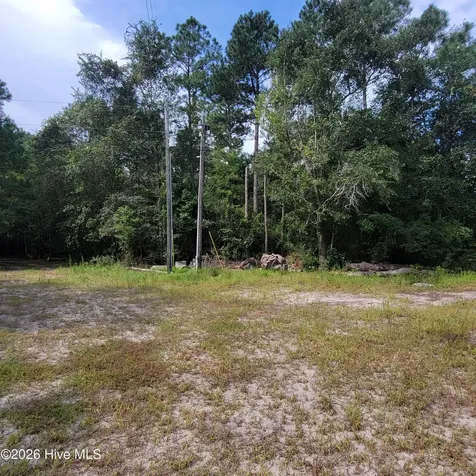 6816 Nc Hwy. 53 E Burgaw NC 28425