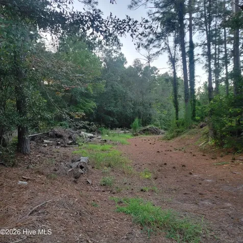 6816 Nc Hwy. 53 E Burgaw NC 28425