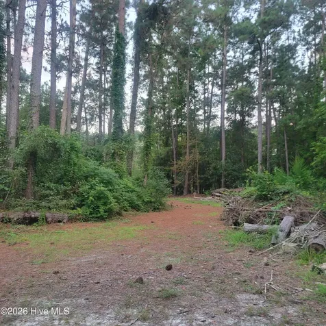 6816 Nc Hwy. 53 E Burgaw NC 28425