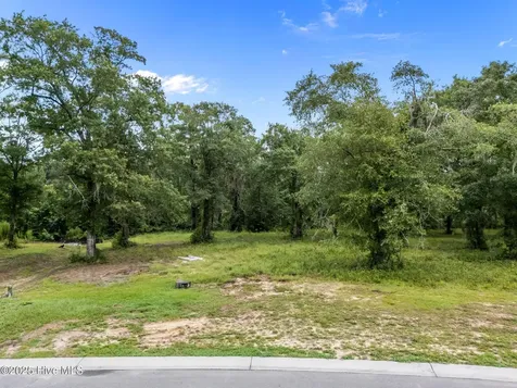 9140 Fallen Pear Lane NE Leland NC 28451