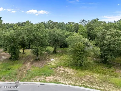9140 Fallen Pear Lane NE Leland NC 28451