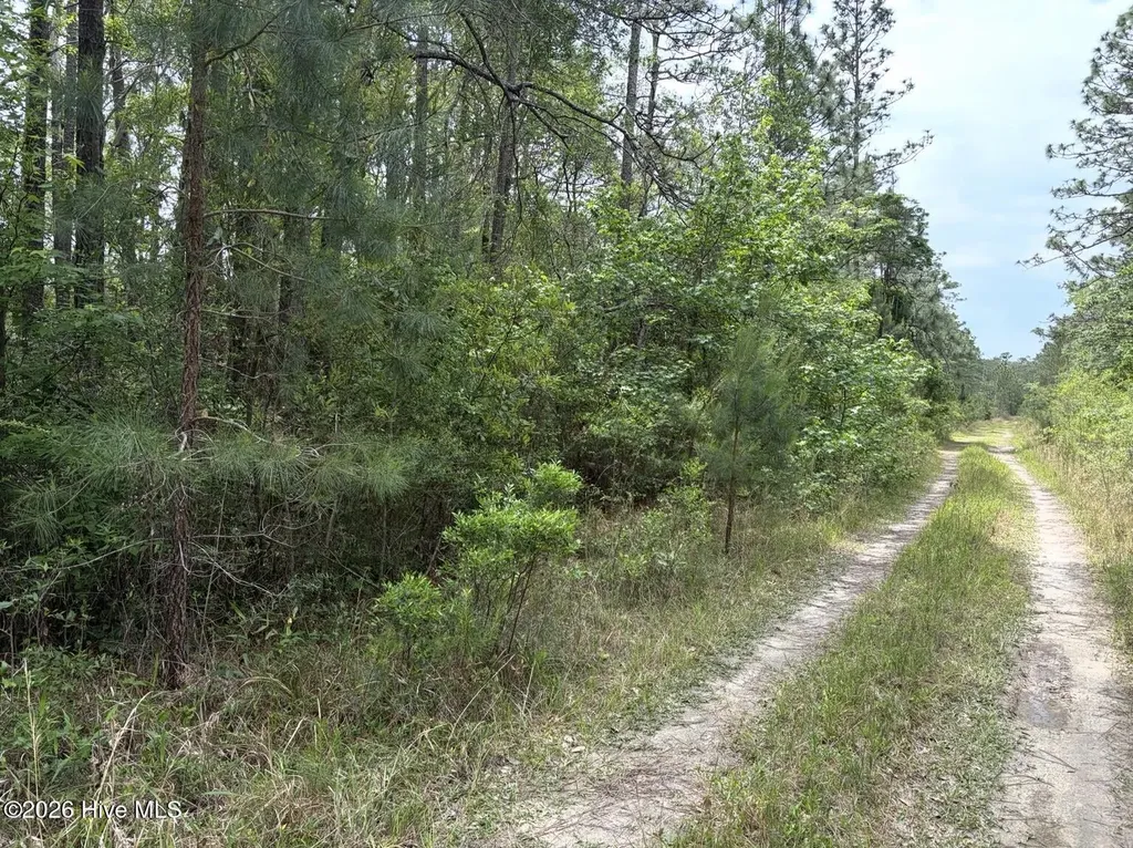 L 113 Chimney Swift Lane SE Southport NC 28461