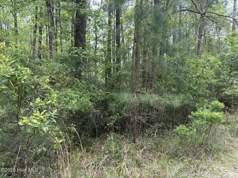 L 113 Chimney Swift Lane SE Southport NC 28461