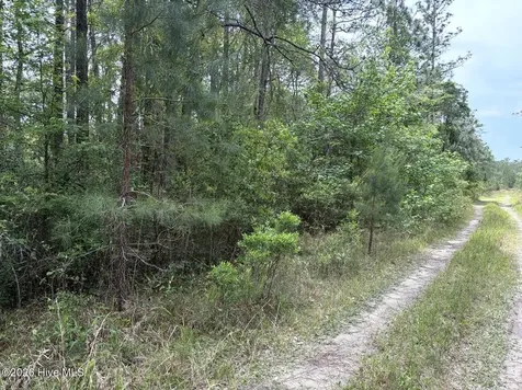 L 113 Chimney Swift Lane SE Southport NC 28461