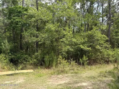 L 113 Chimney Swift Lane SE Southport NC 28461
