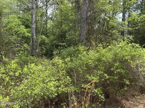 L 113 Chimney Swift Lane SE Southport NC 28461
