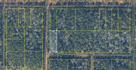 L 113 Chimney Swift Lane SE Southport NC 28461