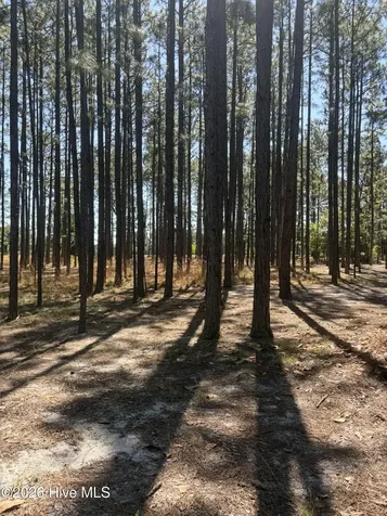 5324 Us 1 Highway Vass NC 28394