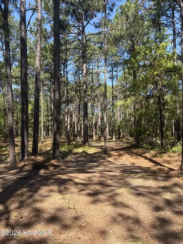 5324 Us 1 Highway Vass NC 28394