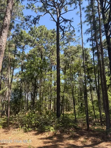5324 Us 1 Highway Vass NC 28394