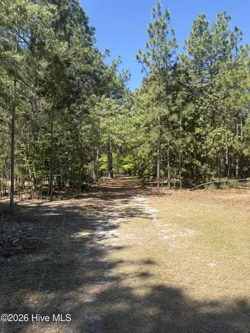 5324 Us 1 Highway Vass NC 28394