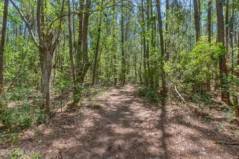 676 Majestic Oaks Drive Hampstead NC 28443