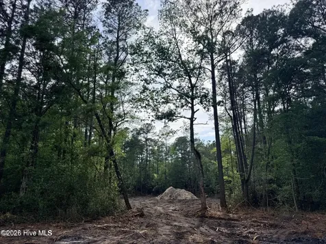 1R & 2r Page Road Burgaw NC 28425