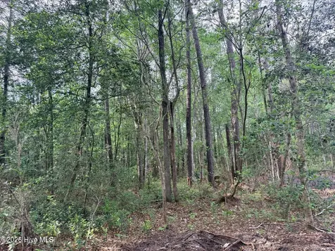 1R & 2r Page Road Burgaw NC 28425