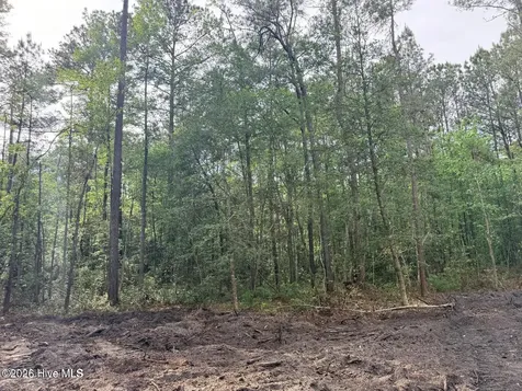 1R & 2r Page Road Burgaw NC 28425