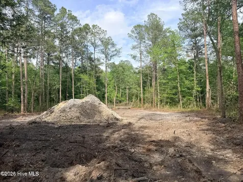 1R & 2r Page Road Burgaw NC 28425