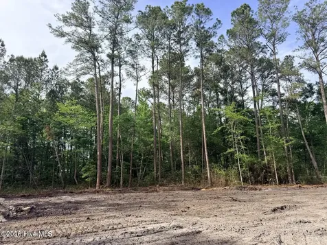1R & 2r Page Road Burgaw NC 28425