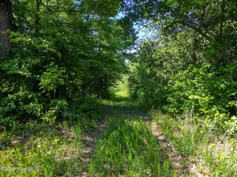 Lot 7 Kestrel Lane Camden NC 27921
