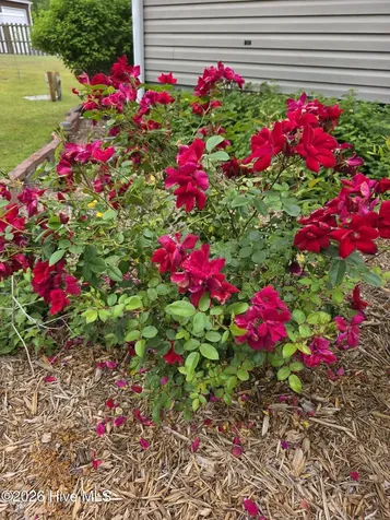 100 Fox Run Drive Hampstead NC 28443